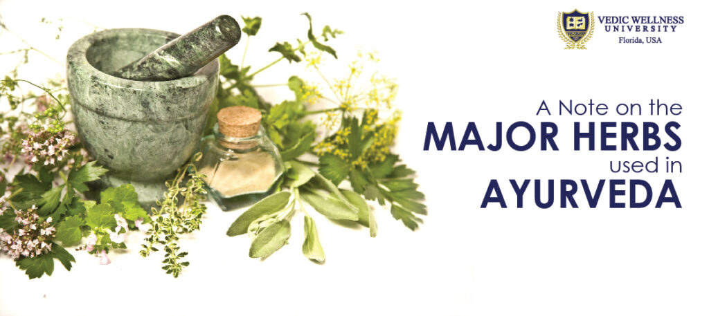 A Note of Various Herbs Used in Ayurveda