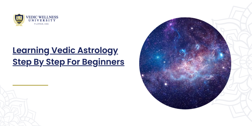 vedic astrology