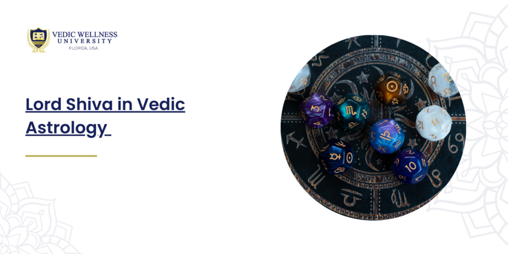 vedic astrology